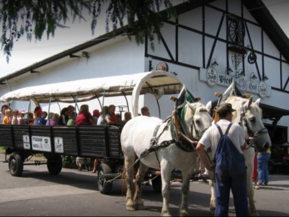 Foto: Pferdehof Hacke